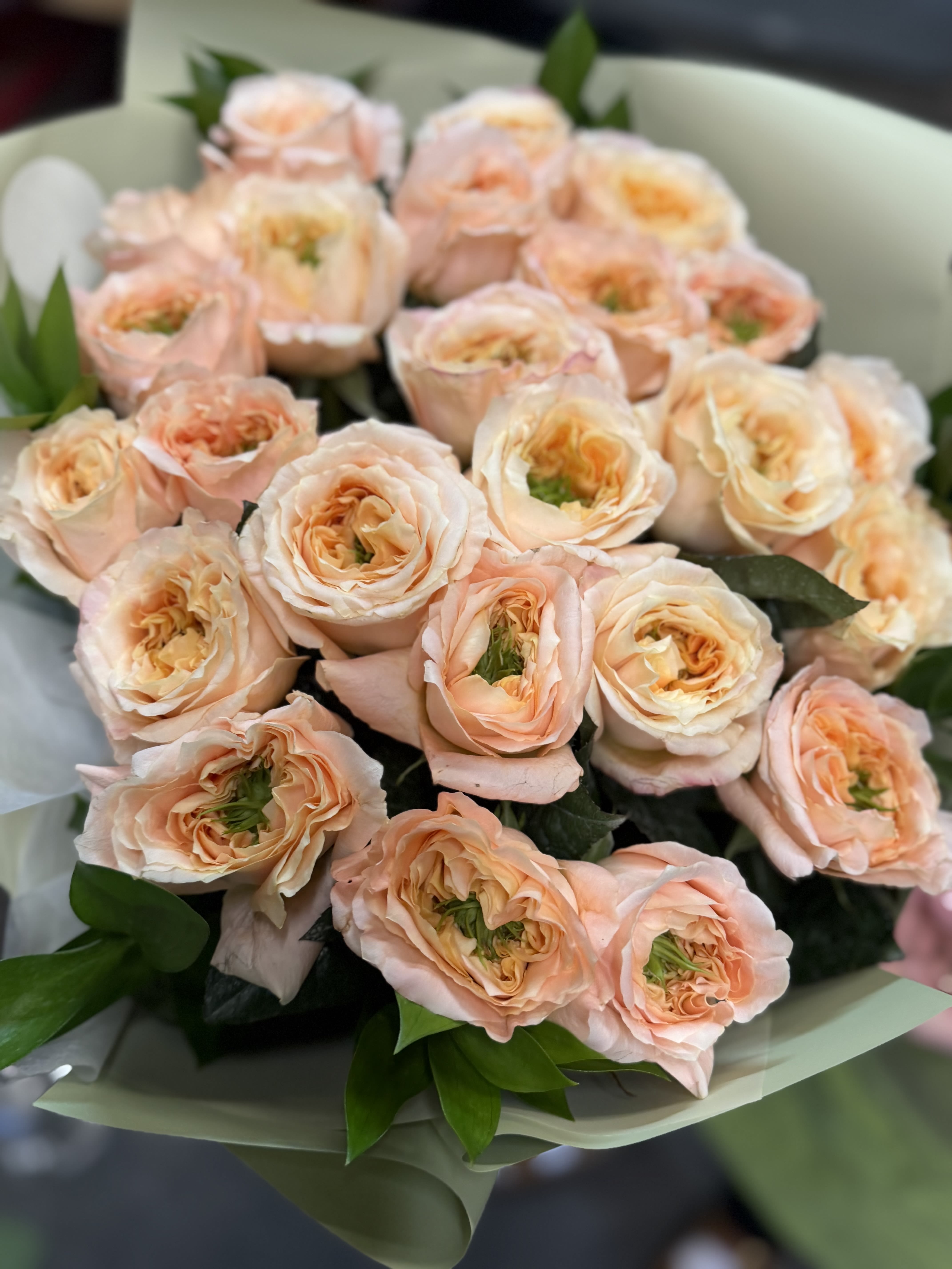 25 melon expression garden rose bouquet  - 25 Mellon  expression garden roses beautifully wrapped in paper.