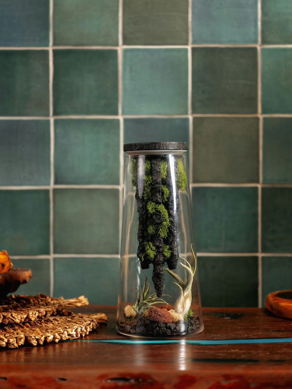 Monserrate - Monserrate is a beautiful terrarium with tillandsia plants, perfectly displayed. These low-light plants only require a light misting of water once a week, making them a low-maintenance addition to any space.