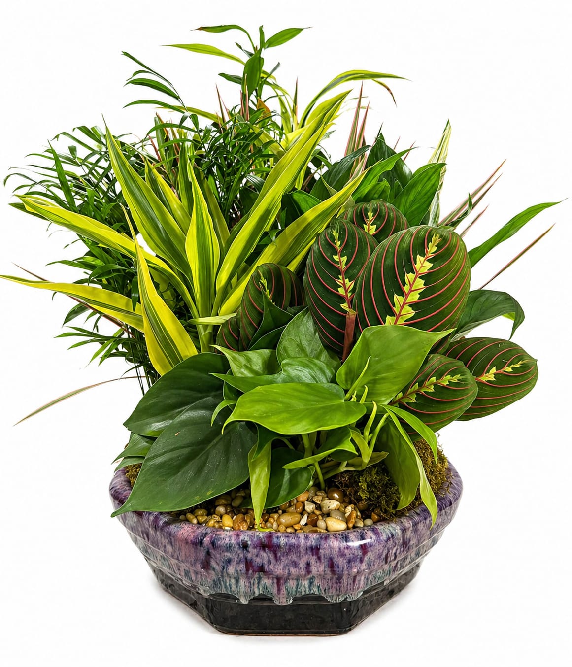 10" Rock Garden Ceramic Plant Arrangement - Bring natural texture and modern greenery into any space with this beautifully arranged 12" rock garden. Designed in a glazed ceramic pot, this lush arrangement features a curated mix of vibrant green plants with contrasting shapes and patterns, accented with decorative stones and soft moss for a clean, finished look.  The combination of tropical foliage creates depth and movement, making it a striking centerpiece for a home or office. Long-lasting and easy to care for, this rock garden is a perfect alternative to traditional flowers and makes a thoughtful gift for any occasion.  Features:  12" ceramic planter with decorative finish Assorted live green plants (variety may vary) Natural stone and moss accents Full, lush design with layered textures Long-lasting and easy-care  Perfect for: Birthdays • Sympathy • Get Well • Thank You • Home &amp; Office Décor  Care Tips: Place in bright, indirect light. Water lightly when the top soil begins to dry.  POT Colors may vary Call us 321-345-4511 if you have any questions