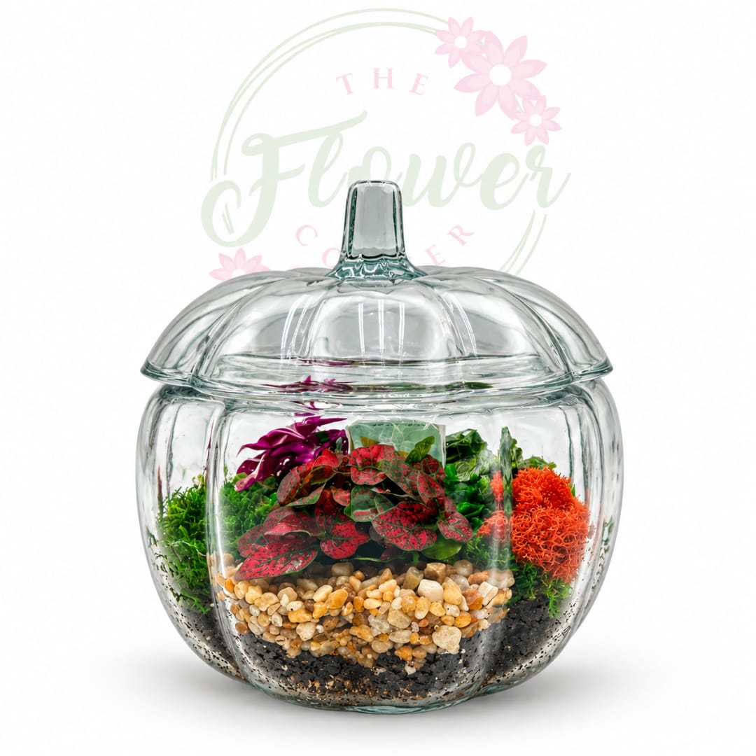 Glass pumpkin-shaped terrarium with colorful plants and pebbles