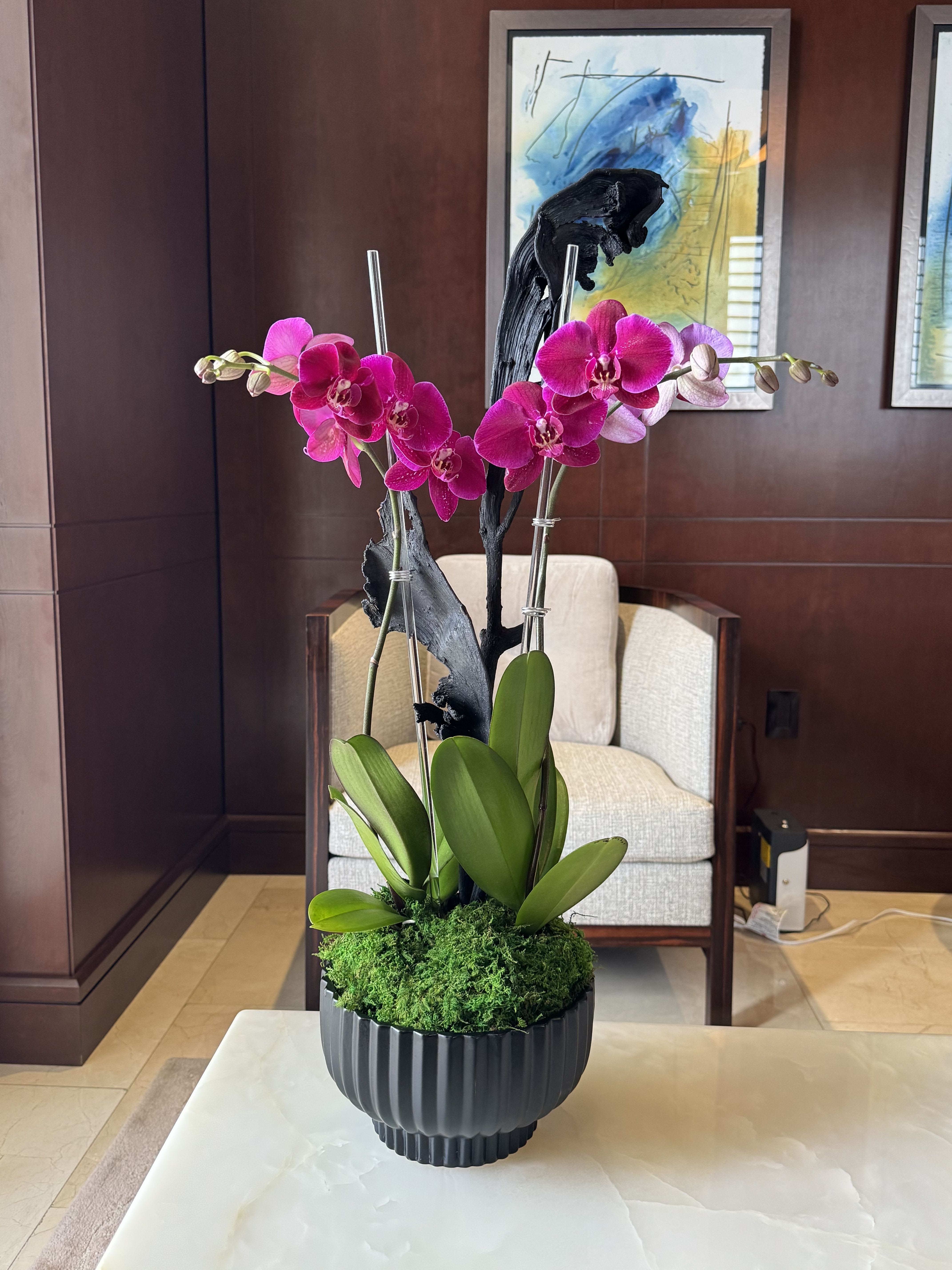 Potted orchid arrangement with magenta blooms in a black container
