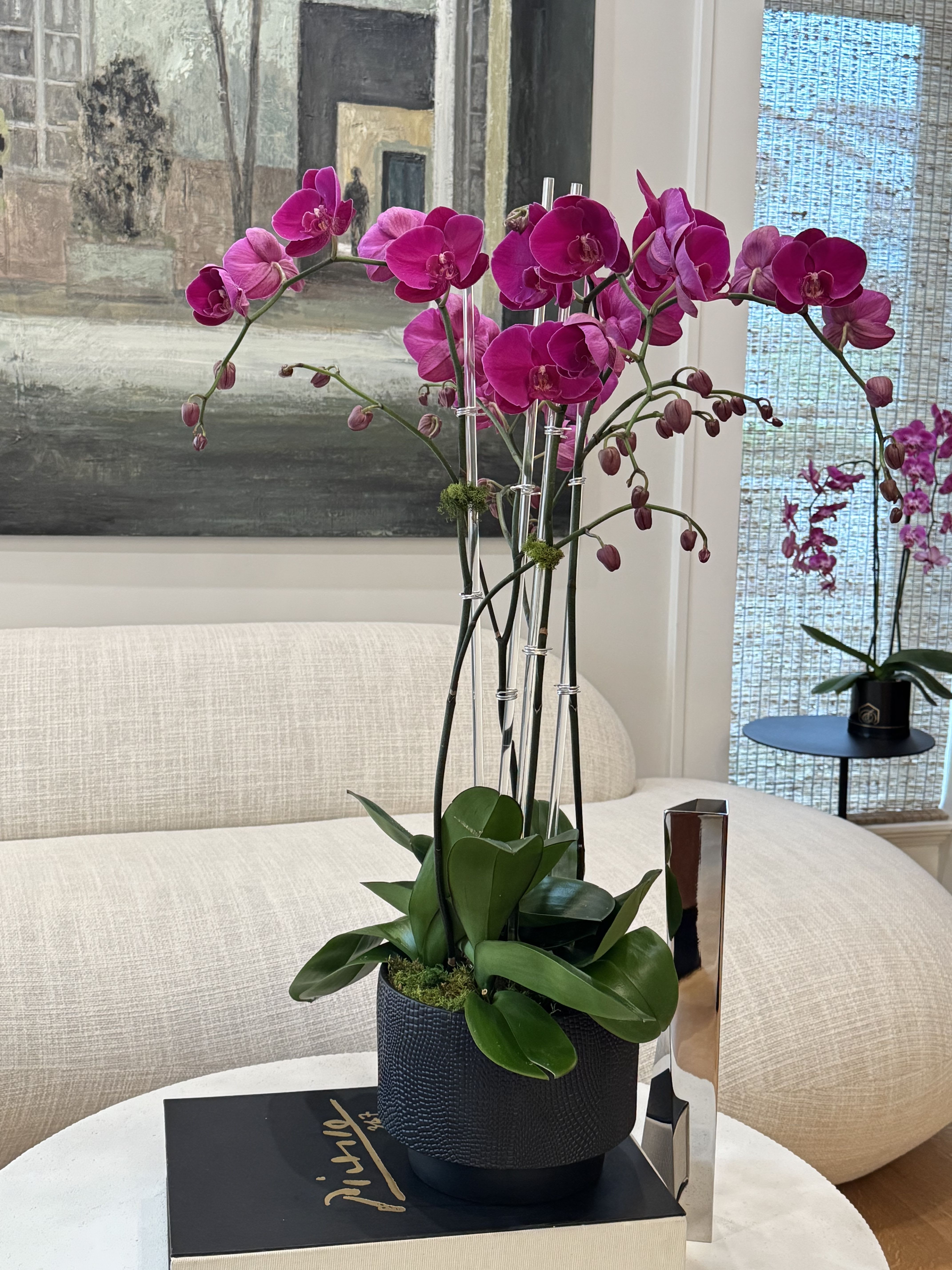 Magenta orchid arrangement in a dark pot on a table