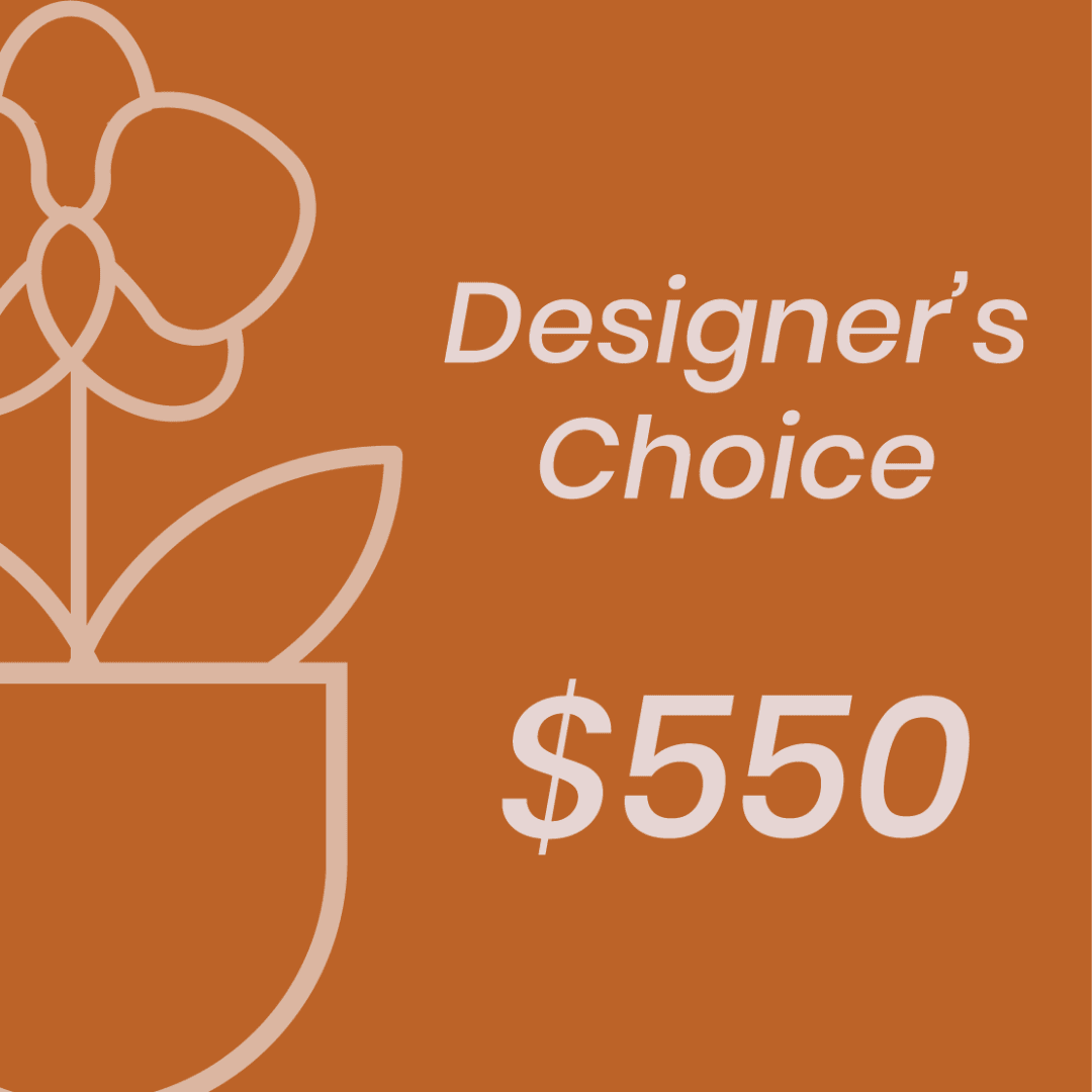 Orange graphic with the words "Designer’s Choice $550"