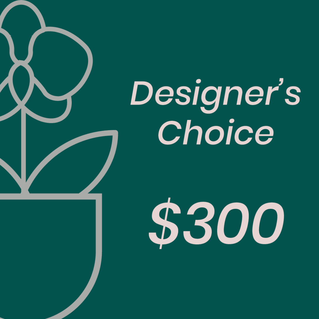 Designer’s Choice gift card graphic with a $300 price