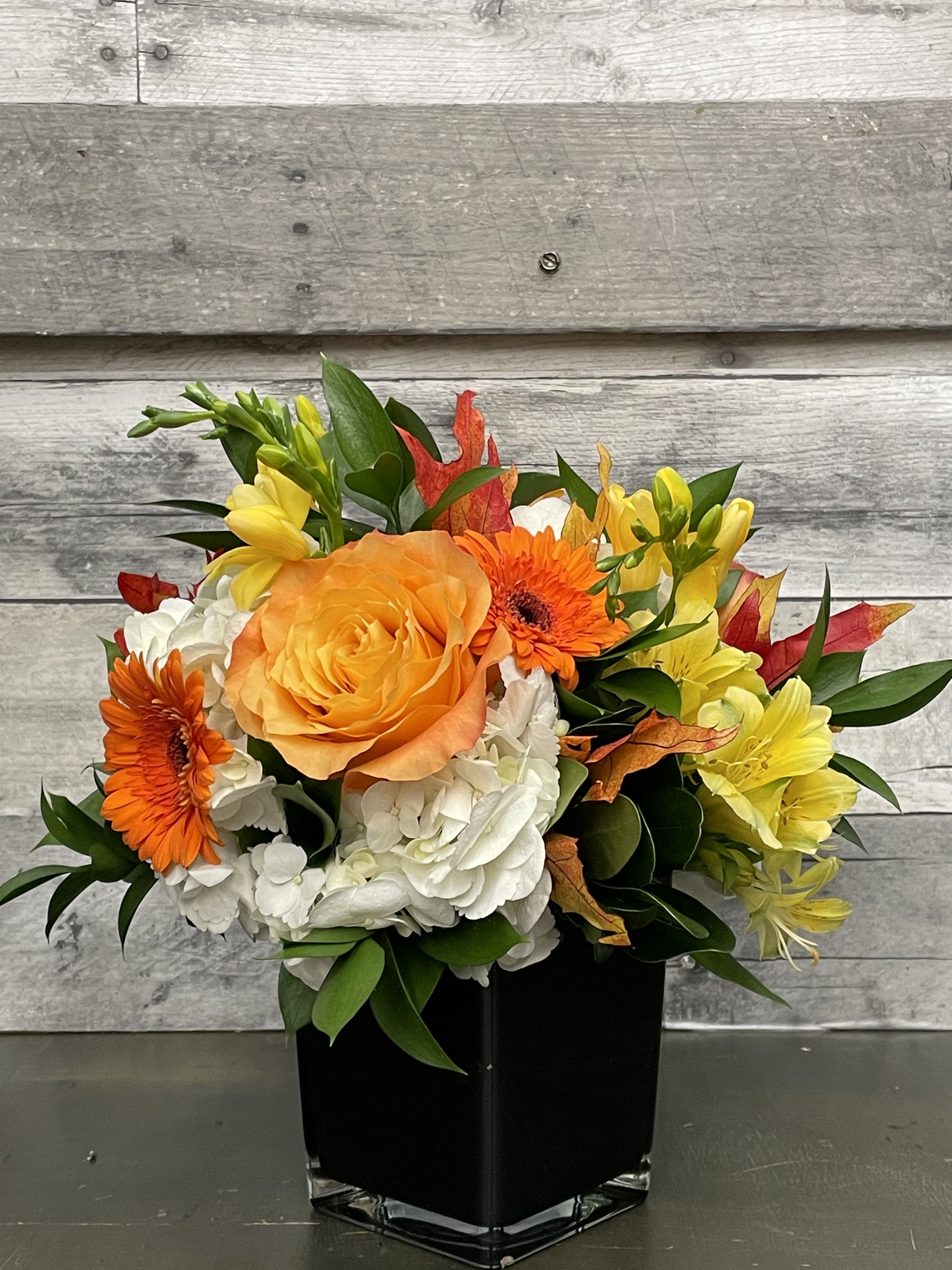 Jack - Jack is an adorable little pop of fall colors with yellow freesia, orange roses, and white hydrangea. It is hard to not be in the fall spirit with jack around.