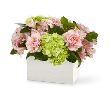 Pink flowers and green hydrangeas arranged in a white box