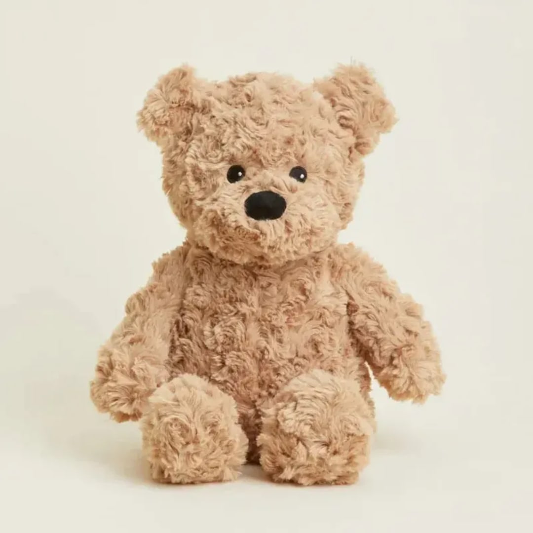Plush teddy bear sitting against a plain light background