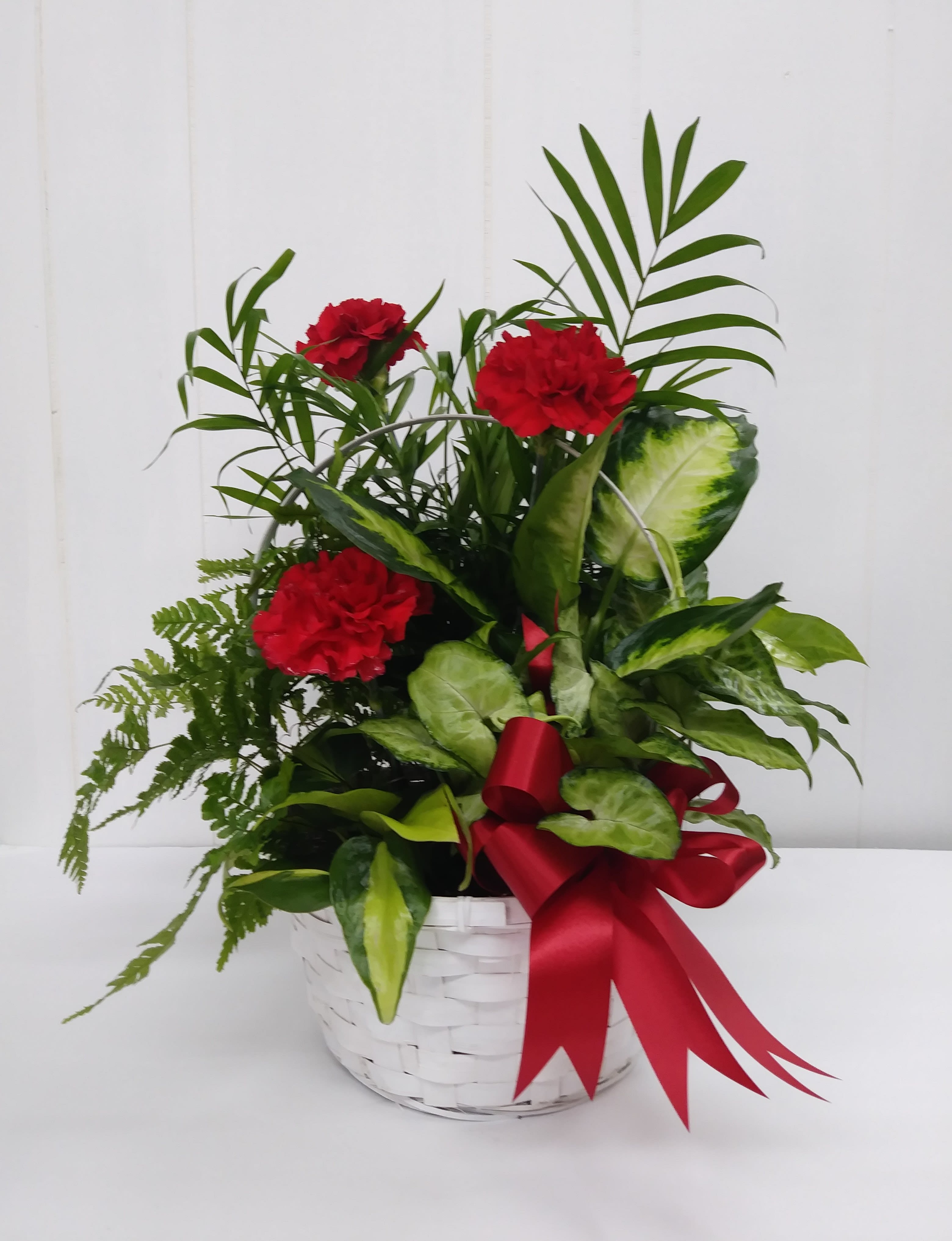 Red carnations in a white basket with a red ribbon