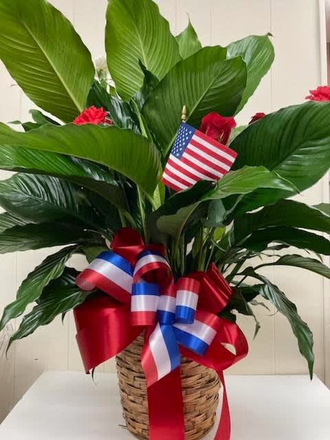 Potted green plant with red, white, and blue ribbons and a small American flag