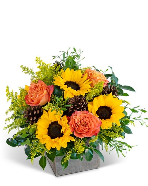 Sunflower and orange rose arrangement in a gray square container