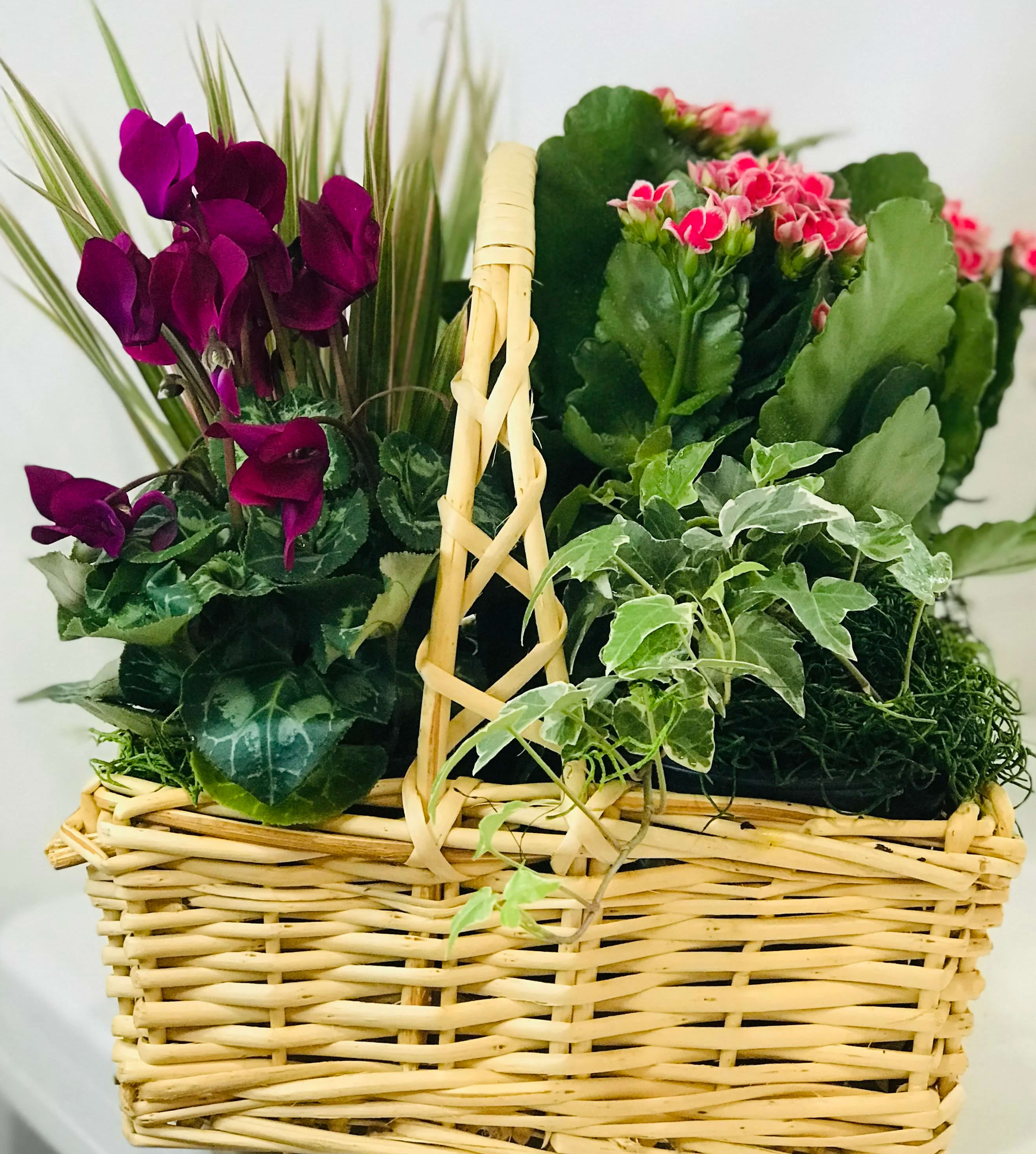Basket of potted flowering plants with purple and pink blooms