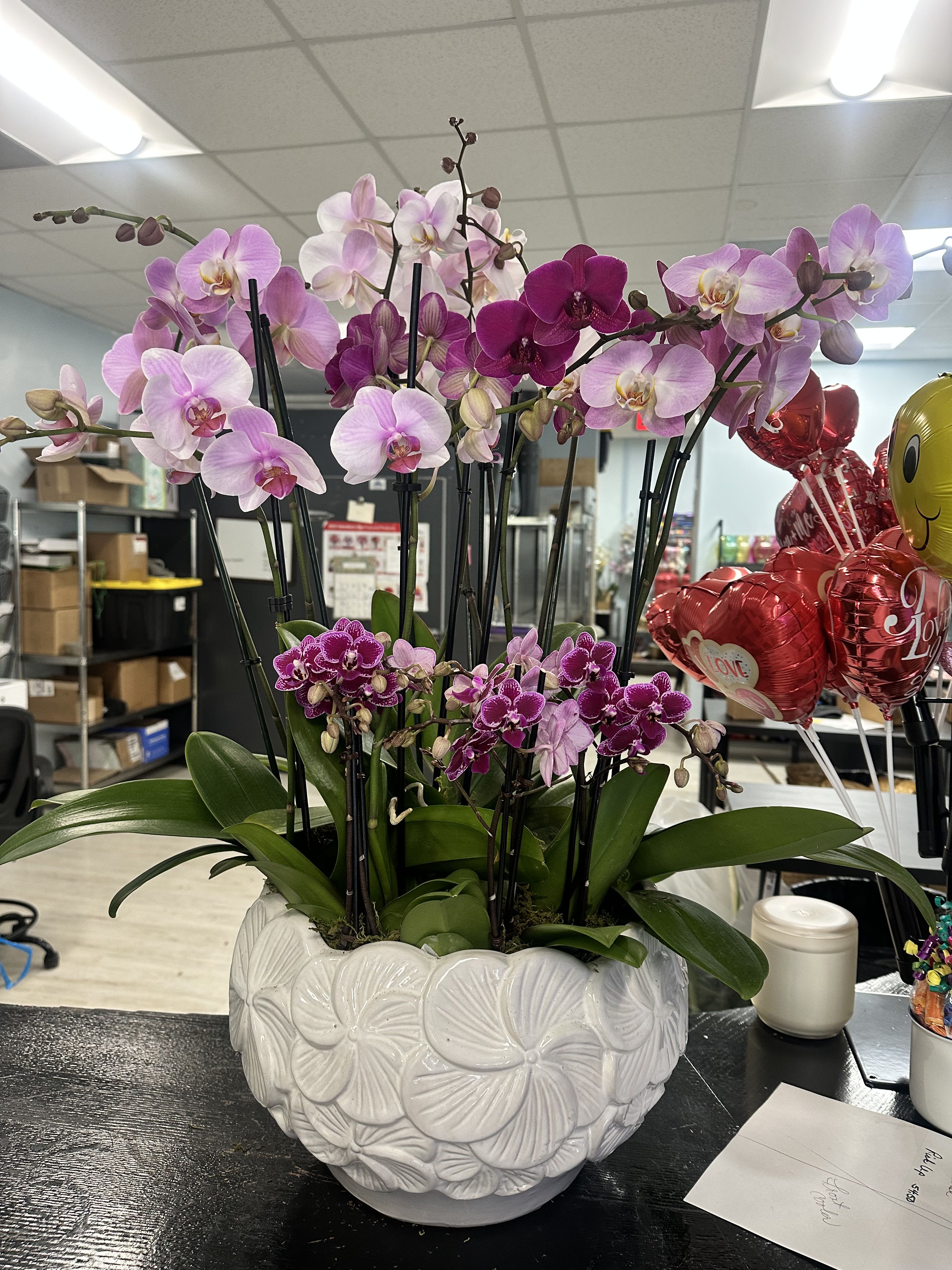 Pink and purple orchids arranged in a white ceramic planter.