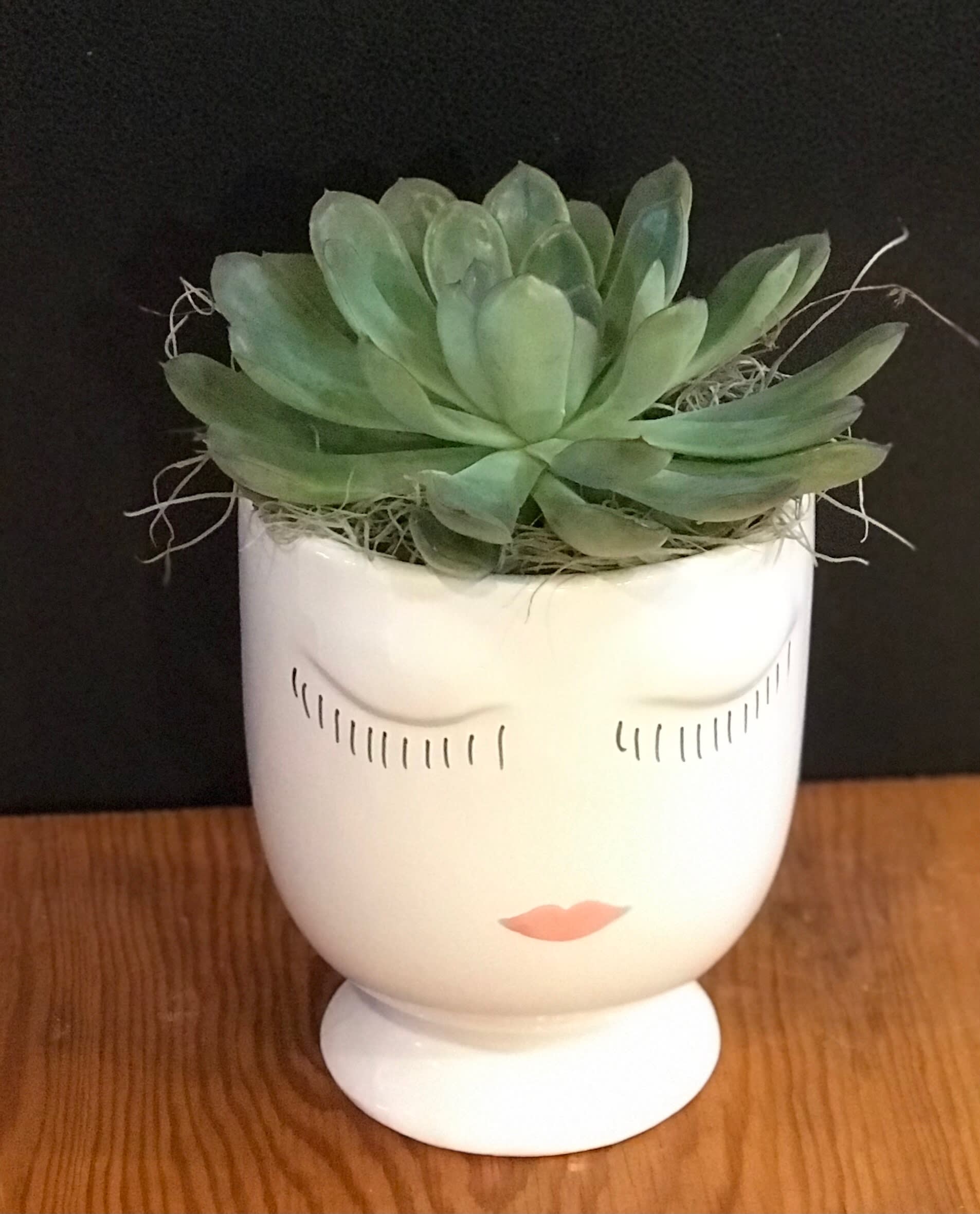 Succulent in a white face-shaped planter