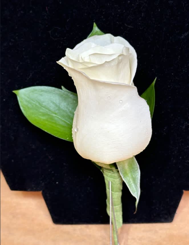White rose boutonniere with green leaves on a black background