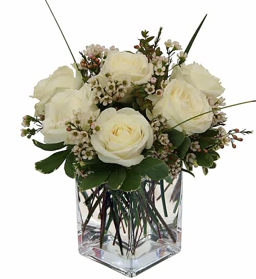 A lovely  contemporary Rose Bouquet - Modern glass cube vase arrangement with six beautiful white roses in a bed of white waxflower and variegated pitt. A lovely, contemporary display of white roses that will perfectly express your sentiments of sympathy and support.