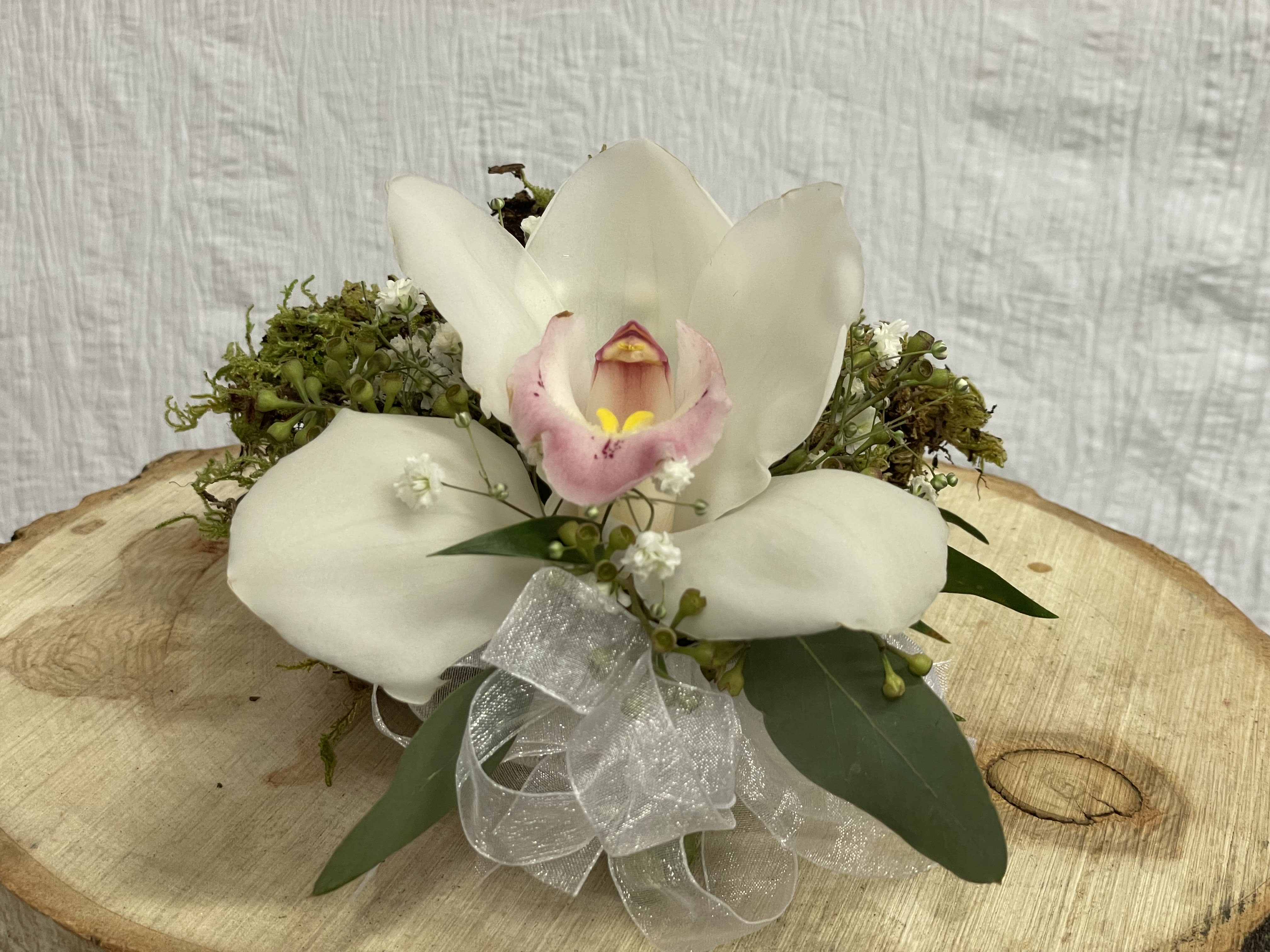 White orchid arrangement with a sheer ribbon on a wooden slab