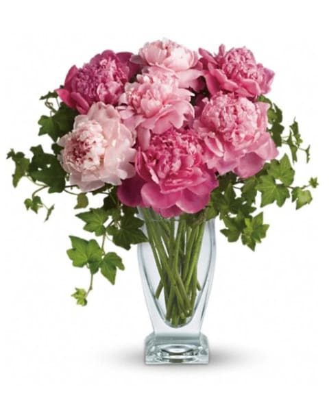 Pink peonies arranged in a clear glass vase with trailing ivy