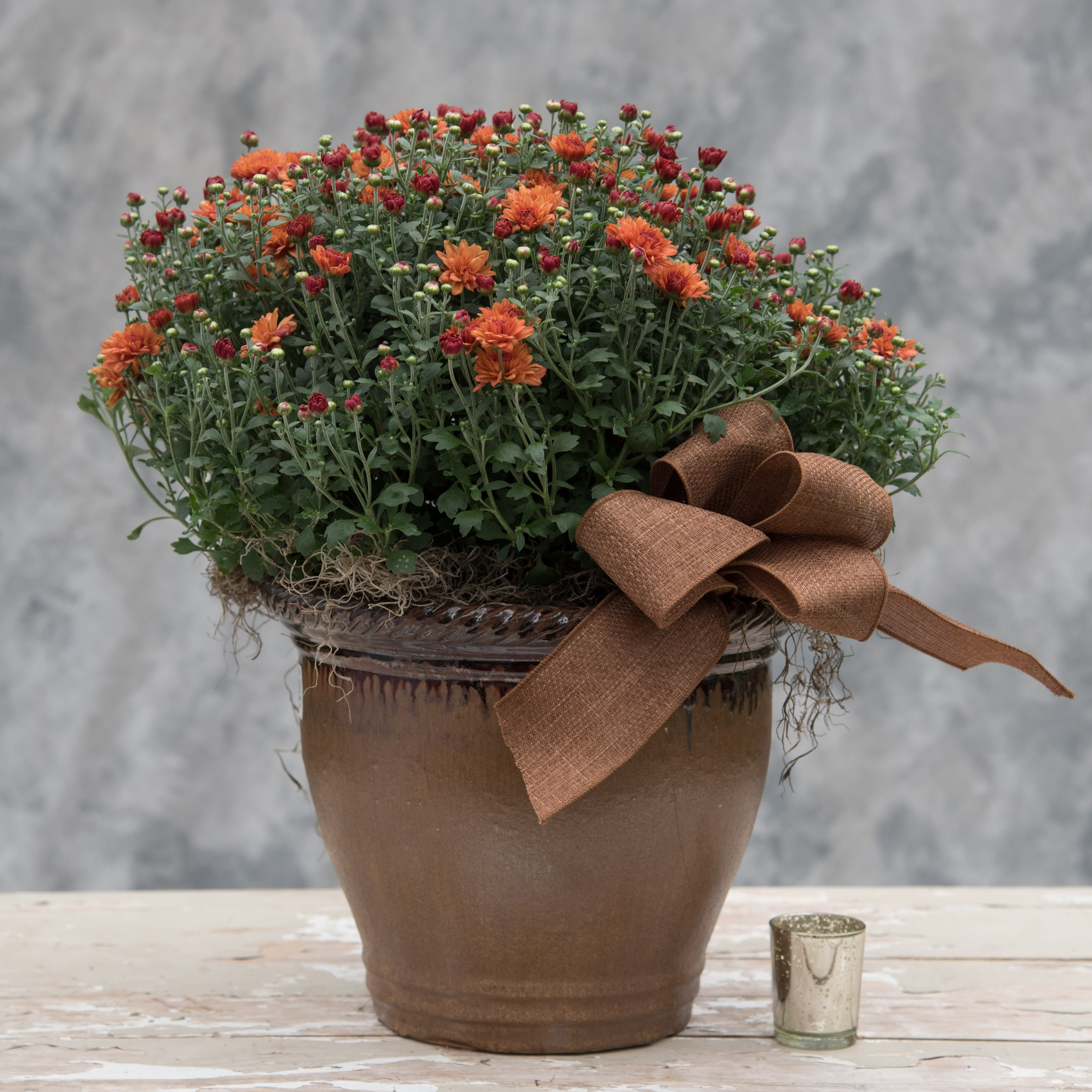 Mum Pot - Jumbo mum in a pretty basket accented with a large fall bow. 