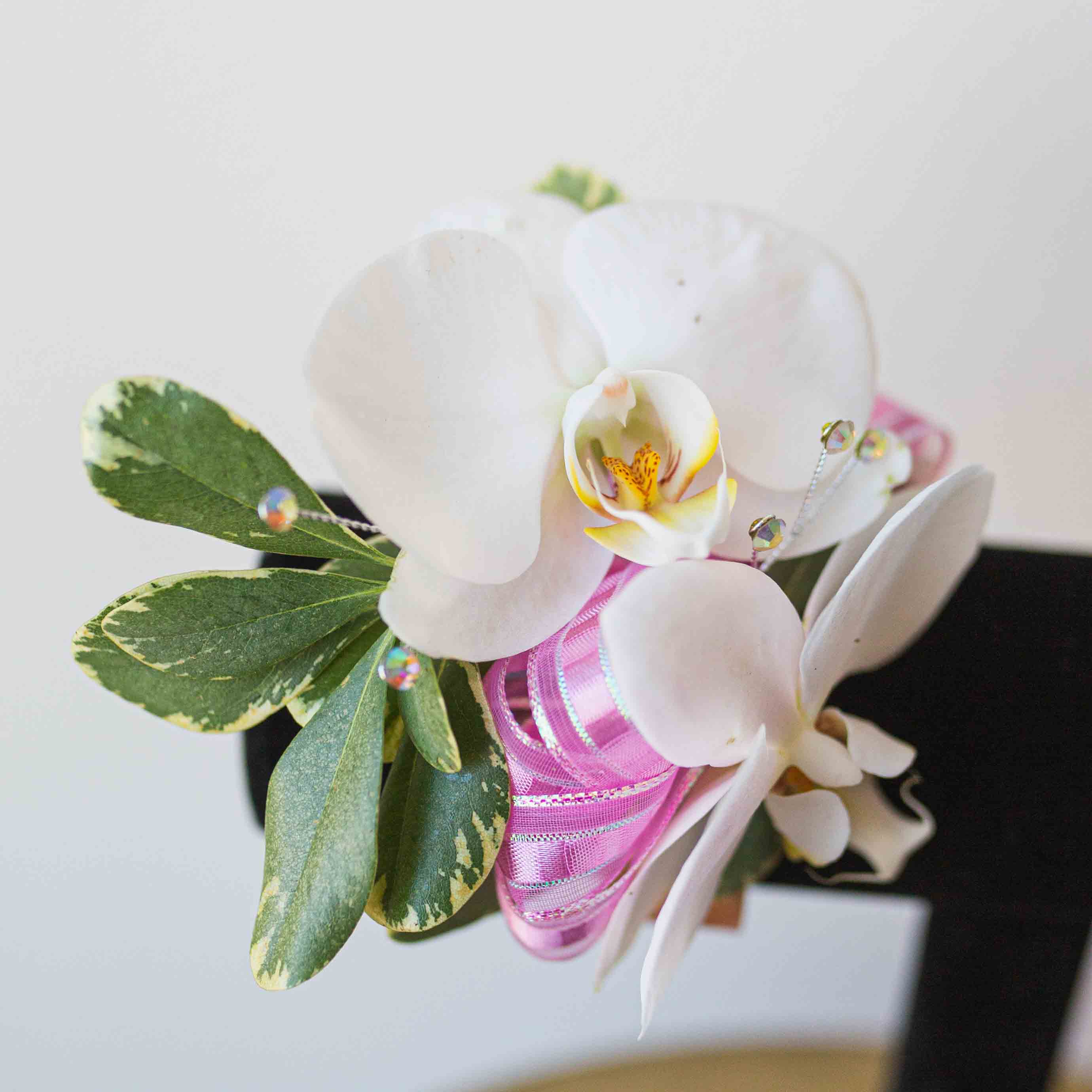 White orchid corsage with pink ribbon and variegated leaves