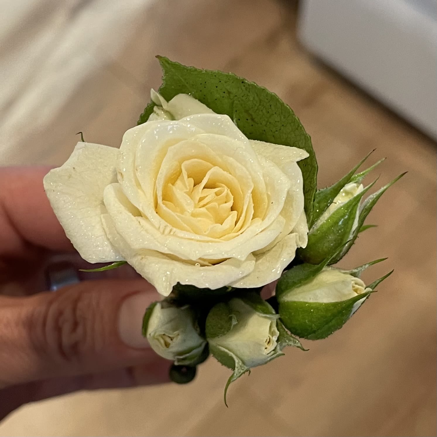 White rose boutonniere with small buds and green leaves