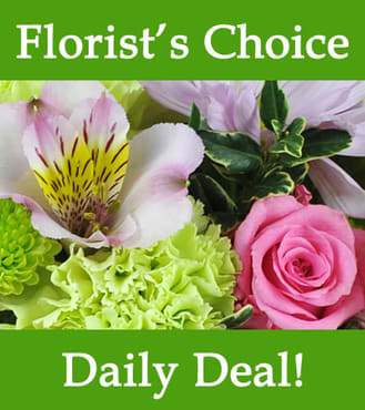 Florist Choice Daily Deal - A small mixed seasonal arrangement, perfect size for a desk or small side table.  Colors and flowers will vary.  A small way to celebrate any occasion.  Approx. 15" H x 4" W