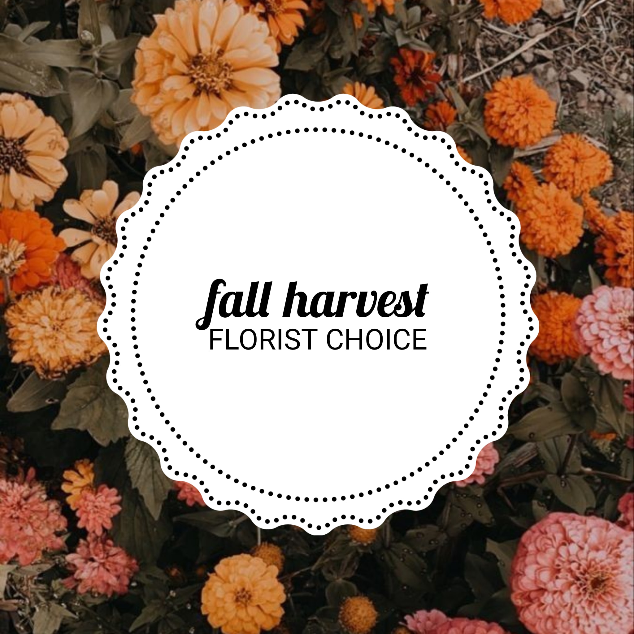 Fall harvest florist choice graphic with orange and pink flowers