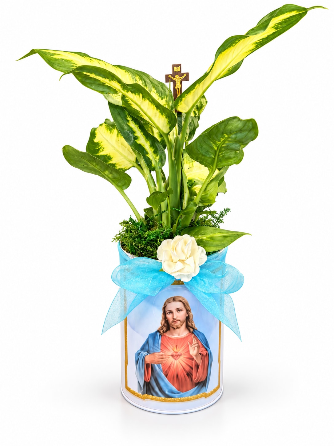 Potted variegated plant with a blue ribbon and religious image on the container