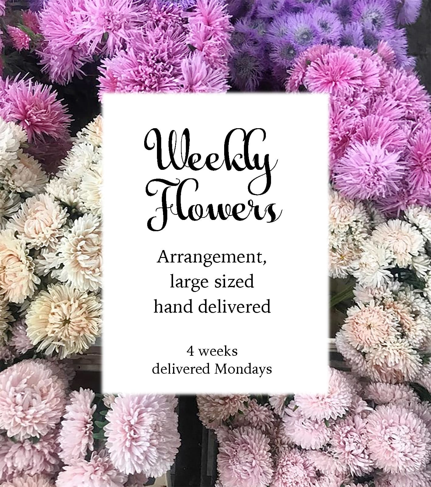 Weekly Flowers large - Get a beautiful, fresh large sized Blomst arrangement of seasonal pastels or bright colors every Monday for 4 weeks, hand delivered to your door. Free delivery :) This purchase is for 4 arrangements delivered 4 Mondays. At checkout provide details of preferred colors and flowers. Call or txt Trine 818 640 4416 with any questions and comments. You can buy the subscription for a friend, 