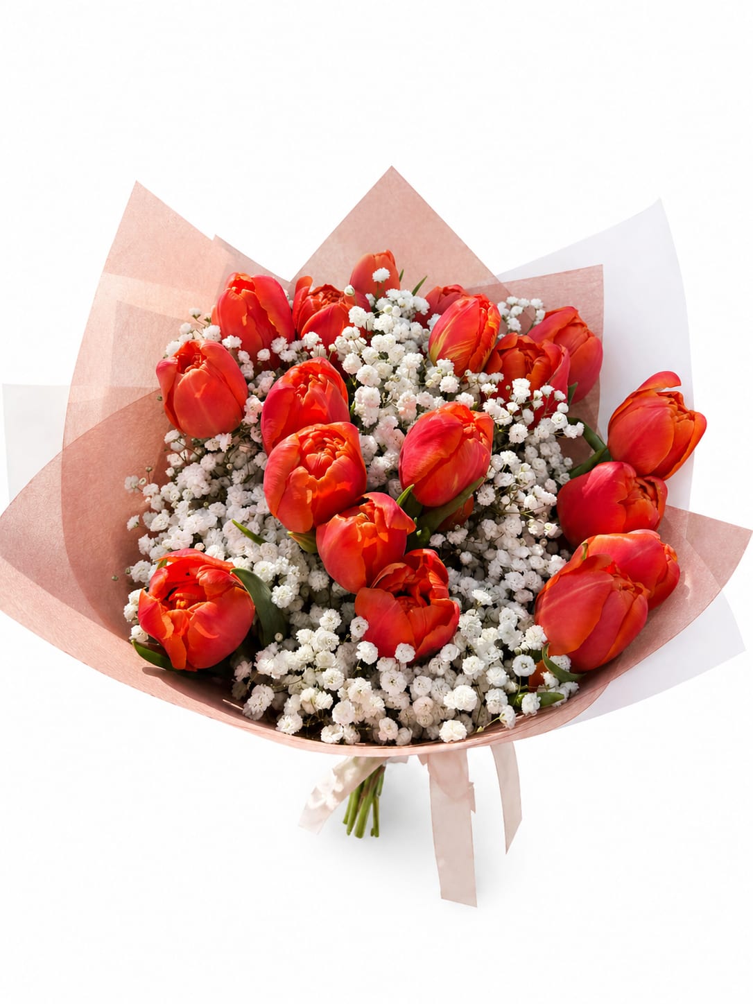 Premium Wrapped Tulip Bouquet  - Premium hand-tied bouquet featuring lush tulips paired with baby’s breath.Perfect for any occasion.