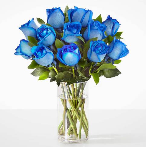 Father's Day Blue Rose Bouquet - Celebrate Dad with a gift as unique and extraordinary as he is. This stunning arrangement features vibrant blue roses elegantly displayed in a clear glass vase, symbolizing admiration, appreciation, and strength. Perfect for Father’s Day, these eye-catching blooms make a thoughtful statement and are a beautiful way to honor the love, guidance, and support fathers provide every day.