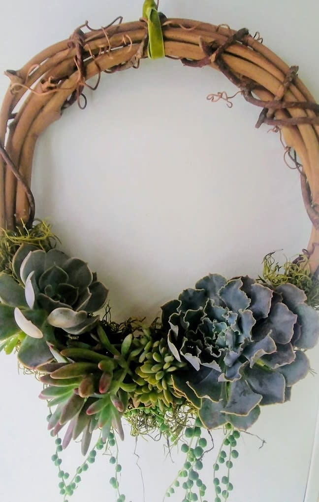 Succulent wreath on a grapevine ring with trailing bead-like greenery