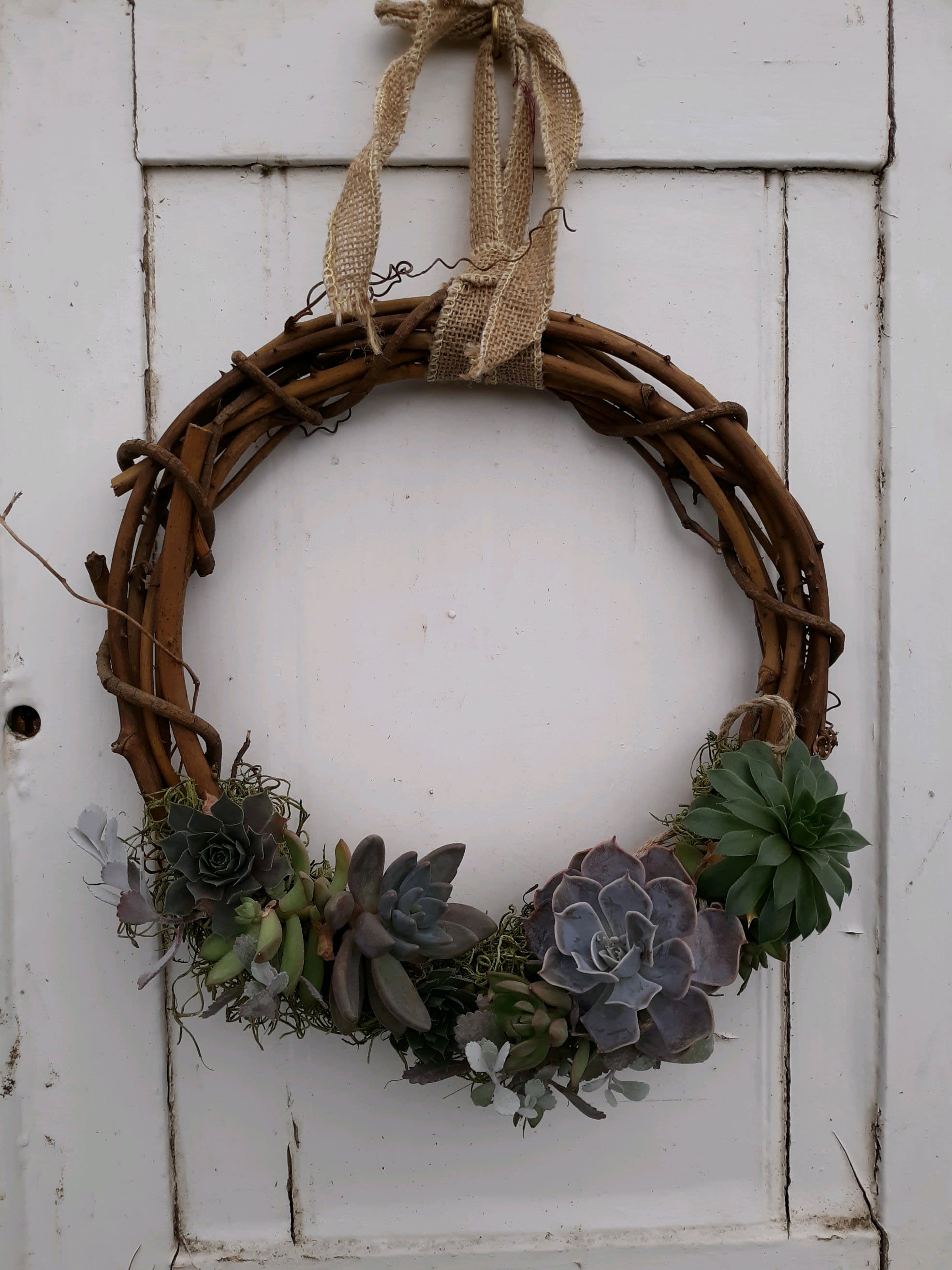 Succulent wreath on a twig ring with burlap hanging ribbon