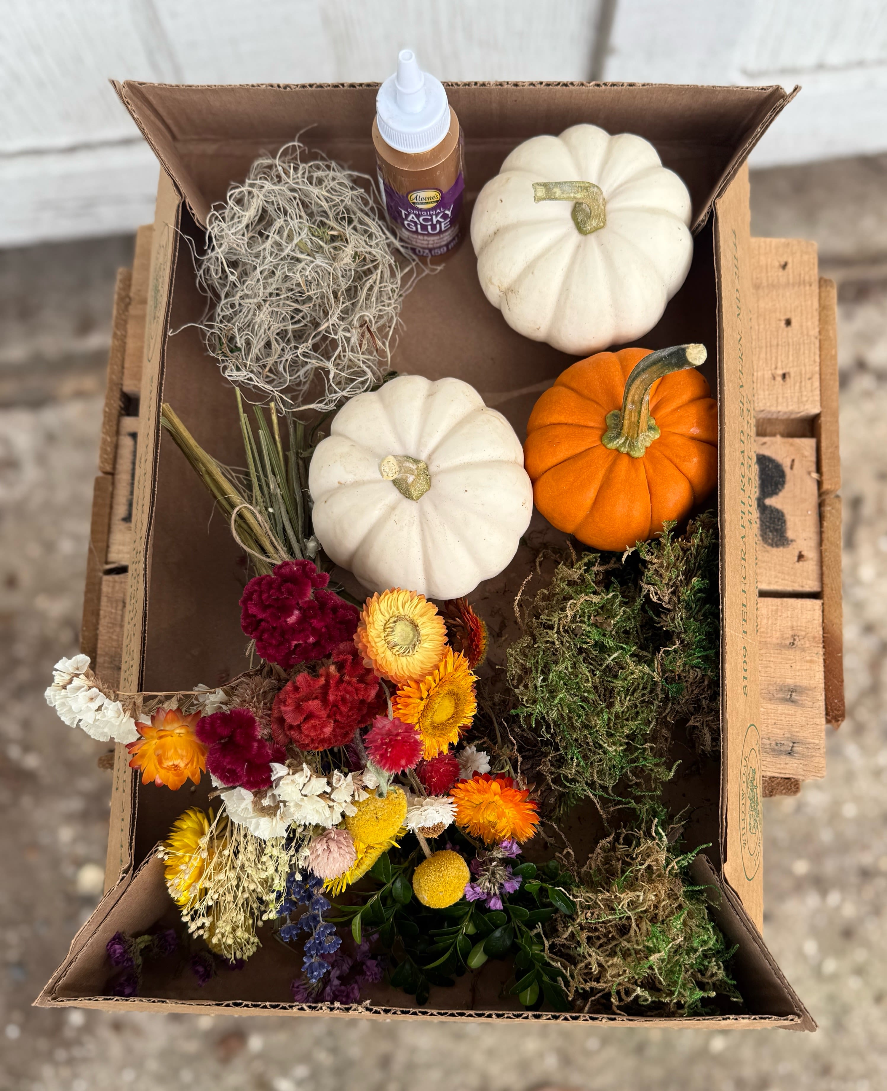 Box of dried flowers, moss, pumpkins, and tacky glue