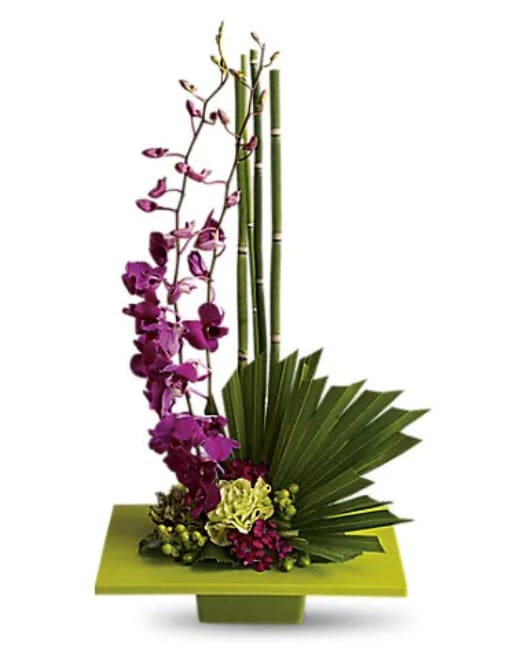 Zen Artistry - It's artistic arrangements like this one that make flowers such an integral and beautiful ingredient in feng shui. A brilliant green container and exotic palm leaf provide the perfect backdrop for purple orchids and a mix of delightful tropical flowers. This gift takes artistry to new heights. Purple dendrobium orchids, green carnations, dark pink Sweet William, an emerald palm leaf and other tropical greens are arranged in a square kiwi-colored container. Perfect when you've got a yen to send Zen!   Orientation : One-Sided  All prices in USD ($)