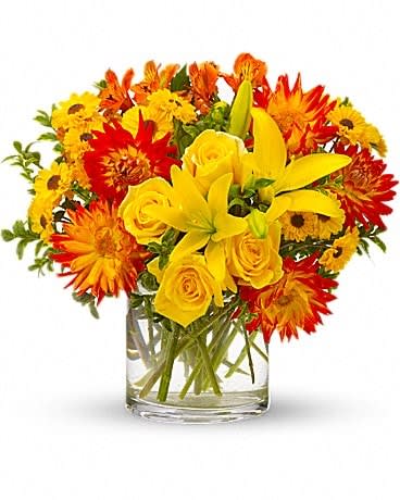 Summer Samba - Just like a lively samba, this bouquet is an uninhibited celebration of summer. If flowers could dance, these would be burning up the dancefloor. Yellow roses, asiatic lilies, orange dahlias and alstroemeria, yellow daisy spray Viking chrysanthemums and oregonia are delightfully arranged in a clear cylinder vase. It will definitely inspire a samba celebration! 