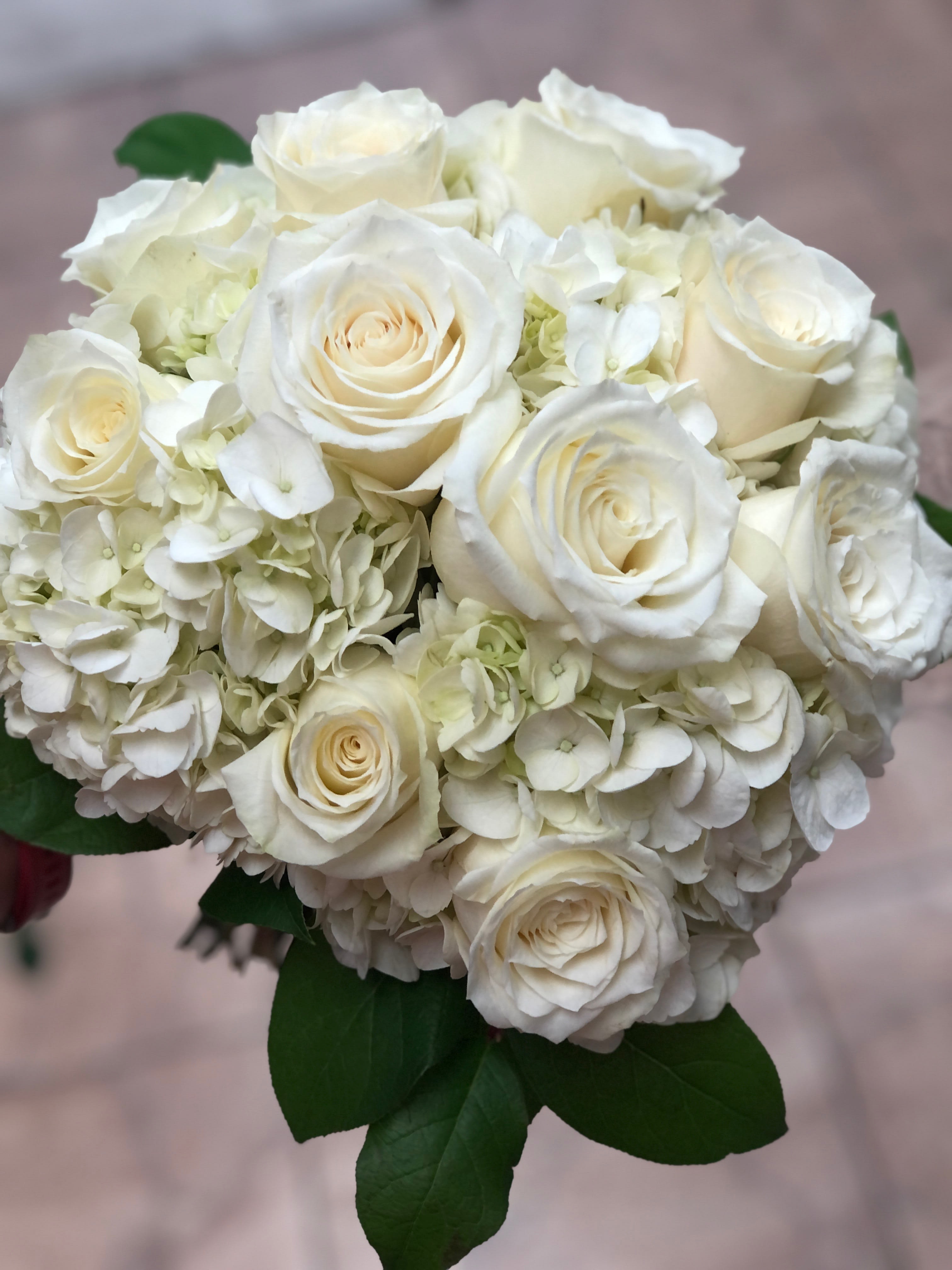 White Bridal bouquet - White hydrangea with creamy white roses and a touch of green