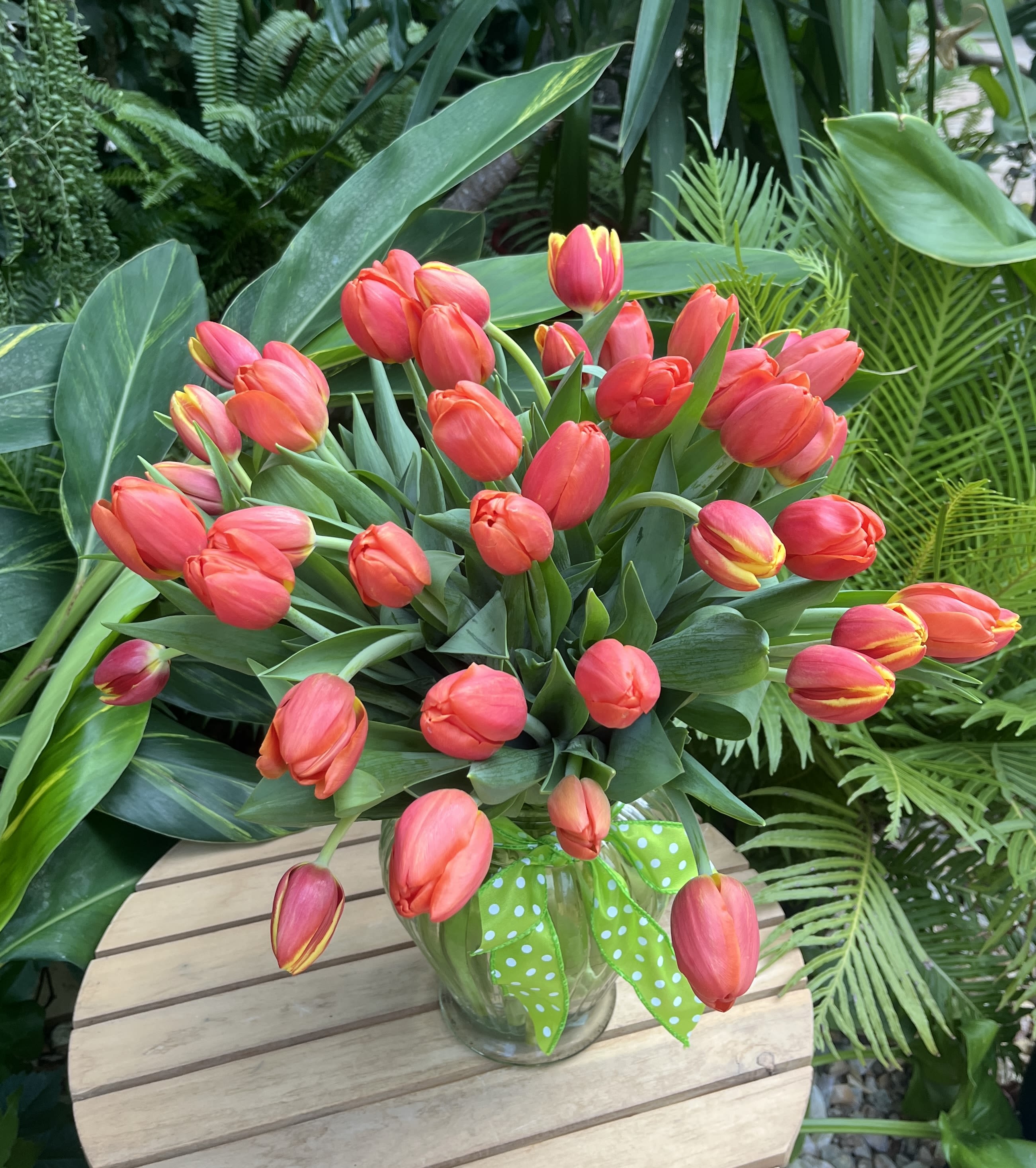 Bouquet of coral tulips in a glass vase with a green polka-dot ribbon
