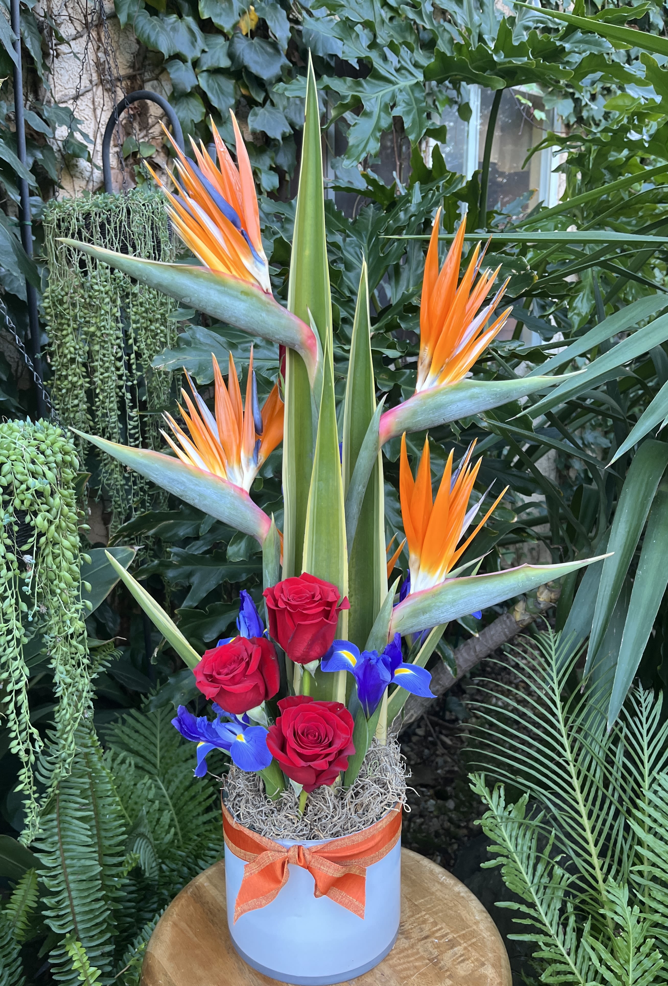 Tropical arrangement with red roses and bird of paradise in a blue box