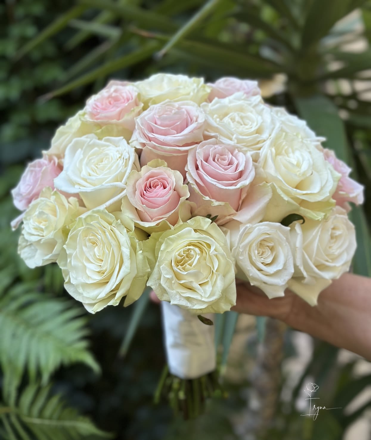 Bouquet of pale pink and white roses held in hand