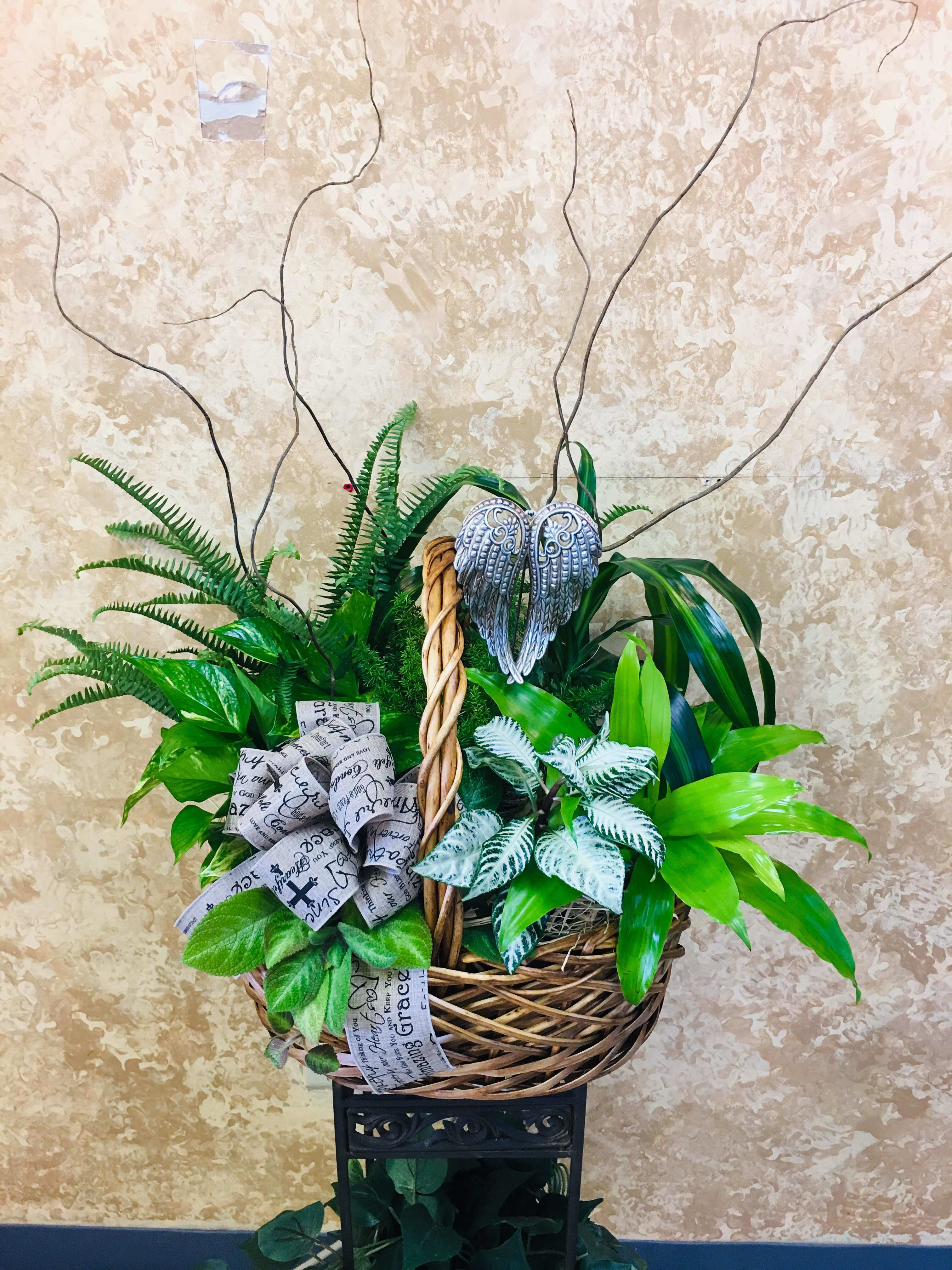 Basket arrangement of green plants with a decorative bow and angel wings