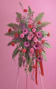 SF55-31 Standing Spray Gerbra Elegance - As Shown : SF55-31