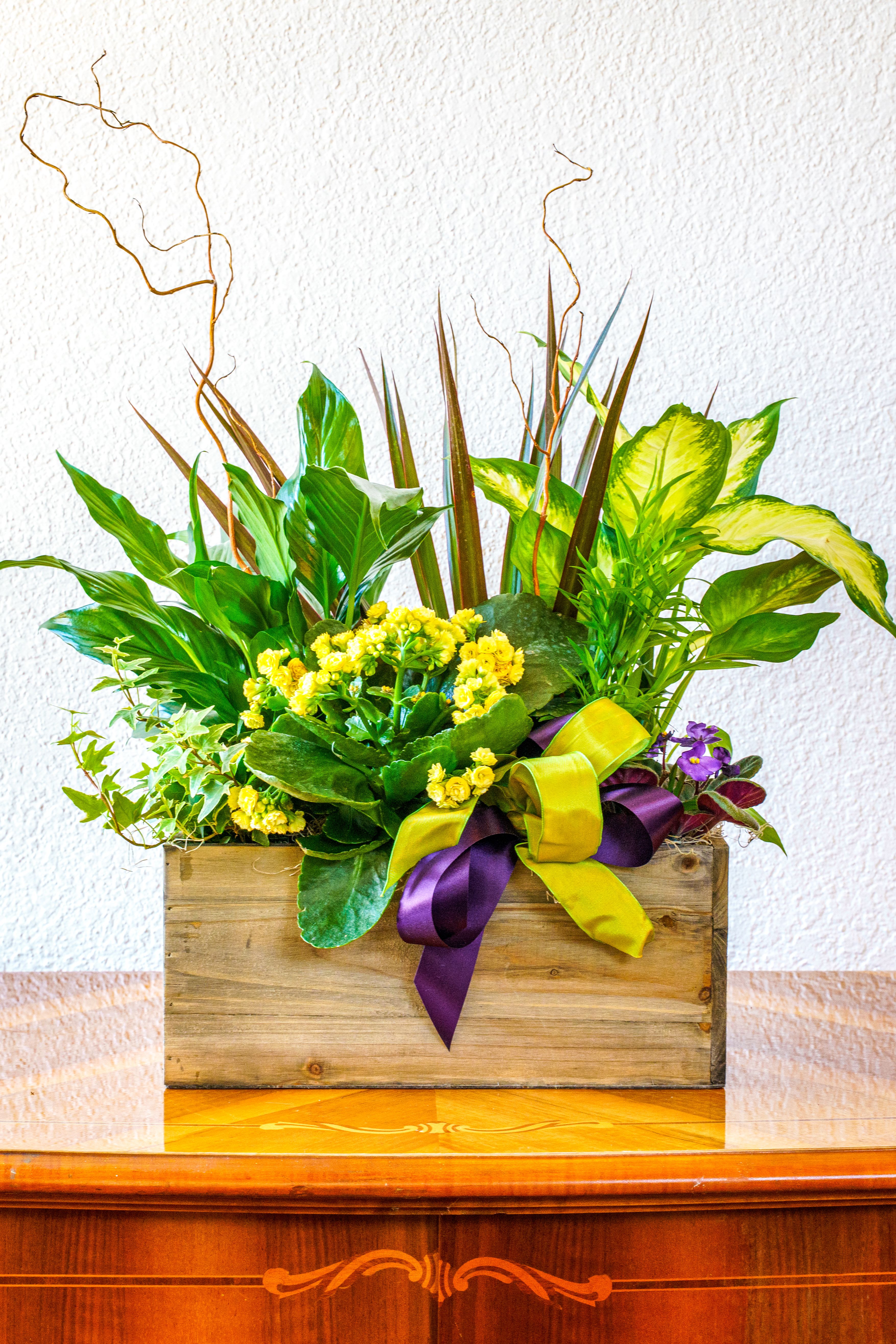 Memorial Garden - Bring the beauty of outdoors inside with a gift that lasts. Our Memorial Garden is bound to remind them of all their fond memories with loved ones for years to come.  Indicate your preferred color of ribbon in notes section, default is a neutral green/white/purple combination.