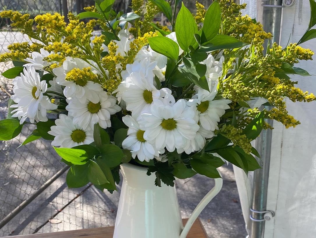 White daisies and yellow filler flowers arranged in a white pitcher-style vase
