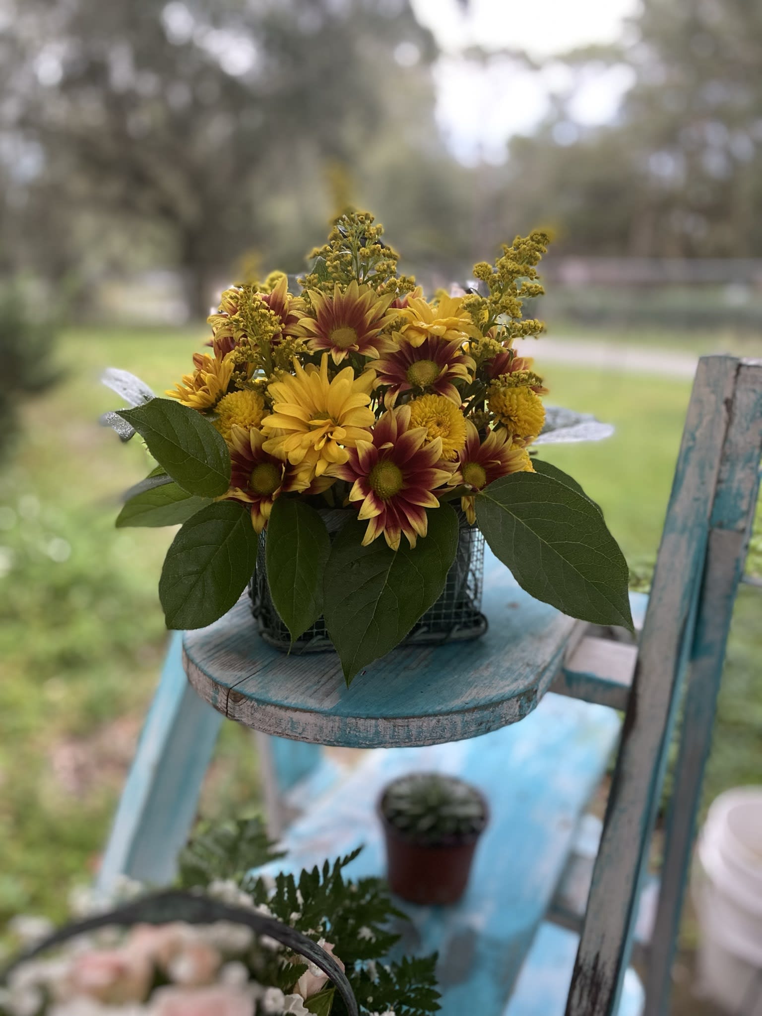 Compact arrangement of yellow and red chrysanthemums in a square wire container on a rustic blue stand