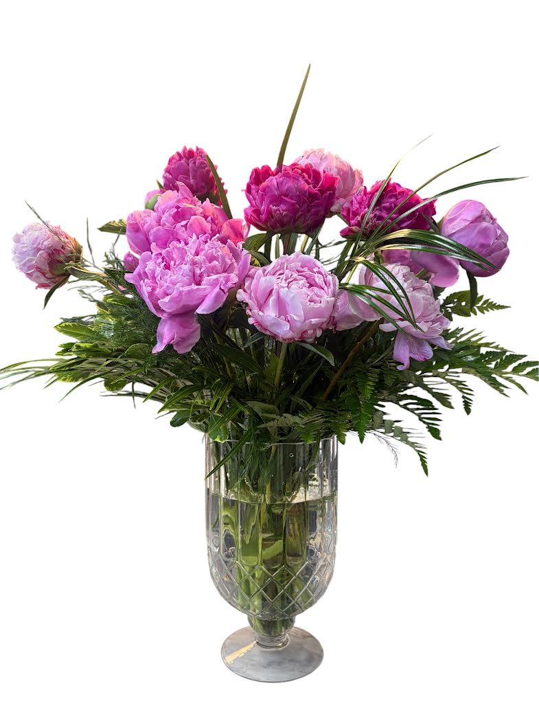 My Lush Peonies - A cloud of lush pink peonies takes center stage in this flower arrangement, making it an ideal birthday bouquet, anniversary gift, or Mother's Day surprise. The mix of soft blush to deep magenta peonies reads as unabashedly romantic and celebratory, and the garden-style silhouette gives the person you're thinking of that delightfully abundant, just-picked feeling.  Full, rounded peony blooms are arranged at varying stages of opening so each stem shows off its texture and scent; airy fern- and palm-like foliage fills between flowers for extra volume and movement. The stems sit in a 10in tall Luxury Footed  Clear Cut-Glass Vase that lets the natural green lines show through and keeps the design feeling fresh and modern.  