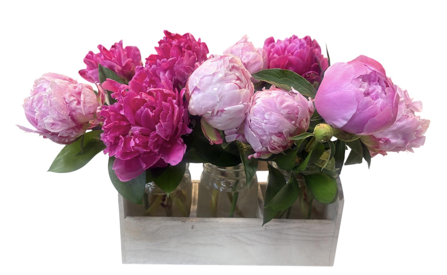 Bundle of Peonies - A lush cluster of layered peonies in shades of pink, magenta, pale blush and soft white makes this flower arrangement feel like a pocket of spring - perfect as a Mother's Day, birthday bouquet, thank-you gift, or a cheerful "thinking of you" surprise. The peonies' full, ruffled petals and green foliage create a romantic, garden-fresh impression that will make the recipient feel genuinely celebrated and seen.  The blooms are gathered in individual glass jars set inside a pale wooden box and wooden carrier, combining rustic charm with elegant softness. Bright fuchsia and lighter pastel tones sit together for lively contrast while the dense, layered heads give the arrangement a generous, tactile presence on a table or mantel. Sized to fit the rectangular wooden box, this casual yet refined display arrives ready to set out.
