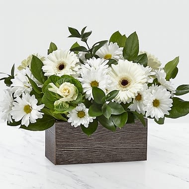 Home Sweet Home - It's amazing the effect flowers can have on a room. Transforming a house into a home was the inspiration behind this eye-catching bouquet. Its crisp composition comes from gerbera daisies, daisy poms and salal complemented by lush ornamental kale. The flowers were selected for their clean color palette and simple textures - sure to brighten any room they're placed in. GOOD bouquet is approx. 10"H x 16"W. BETTER bouquet is approx. 13"H x 17"W. BEST bouquet is approx. 13"H x 19"W.