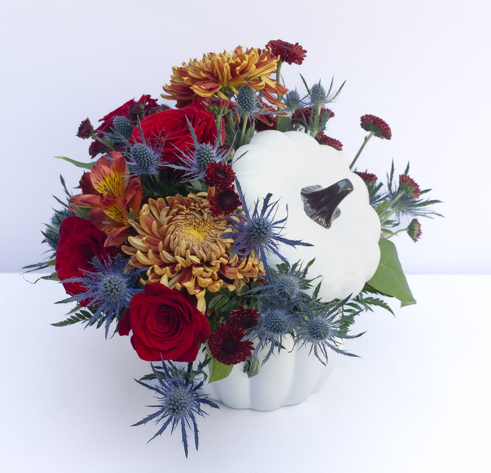 Moody Fall Pumpkin  - A perfect gift, this Great white decorative pumpkin can be reused for fall decor! Arranged with deep moody colors like reds, bronzes, blues to include fall colored gerbera daisies, cremons, mums, thistle, alstroemeria, leucadendron, and roses. 