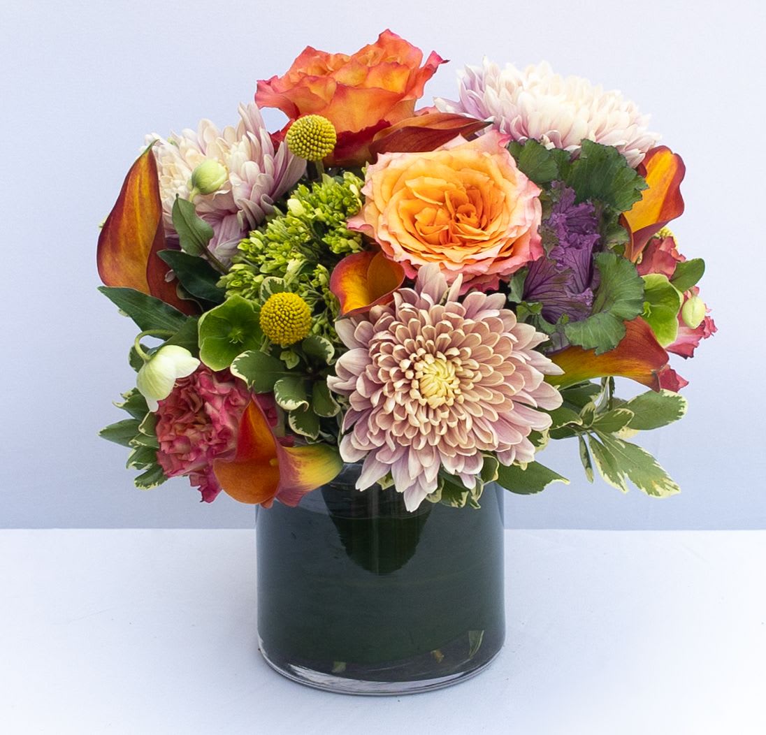 PFM Fall Mod - Modern mix of fall flowers arranged in a 5x5" cylinder. Flowers may include roses, calla Lillies, Kale, Mums and other seasonal fall blooms. 