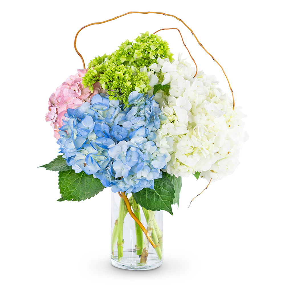 Hydrangea bouquet in blue, white, pink, and green in a glass vase